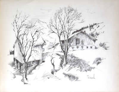Chalets en montagne
